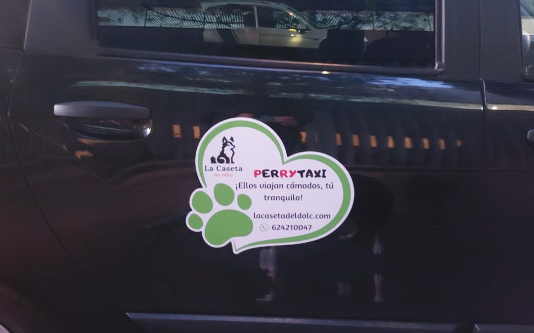 Cómo Preparar a tu Perro para Viajar en Taxi: Consejos para un Trayecto Seguro y Sin Estrés