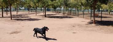 Un perro negro camina por un parque canino de tierra rodeado de árboles y vallado. El lugar es espacioso, con sombra proporcionada por los árboles y bancos en el fondo para los dueños de los perros. La imagen refleja un entorno ideal para el esparcimiento y socialización de las mascotas en un área segura.