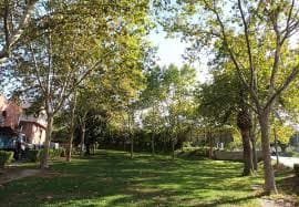 Parque con césped verde y frondosos árboles que proporcionan sombra. El entorno luce tranquilo y bien cuidado, con caminos y bancos en el fondo, ideal para pasear con perros y disfrutar de la naturaleza en un ambiente relajado.